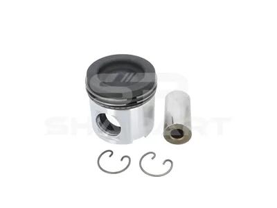 2.00193 Piston