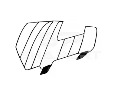 2.00524 Lamp protector, headlamp, right
