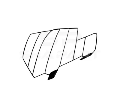 2.00530 Lamp protector, headlamp, right