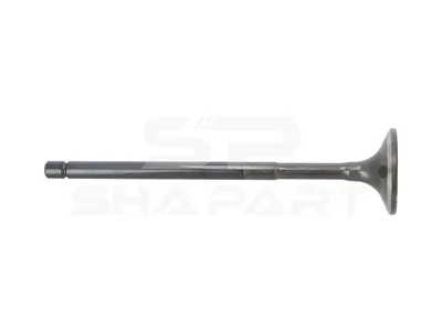 2.00974 Exhaust valve