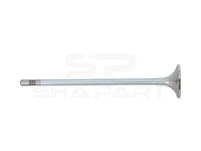 2.00975 Exhaust valve