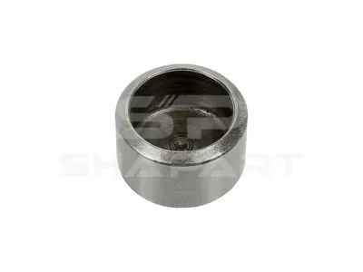 2.10000 Valve cap