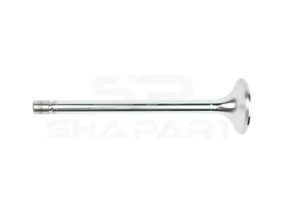 2.10008 Exhaust valve, D1: 11 mm, D2: 46 mm, L: 167.2 mm, α: 45 °