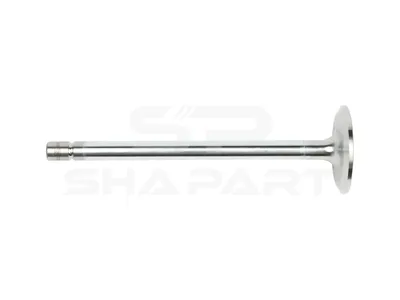 2.10009 Intake valve, D1: 11 mm, D2: 50 mm, L: 167.2 mm, α: 30 °