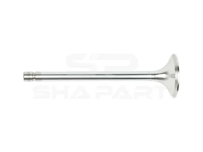2.10010 Exhaust valve, D1: 11 mm, D2: 50 mm, L: 167.2 mm, α: 45 °