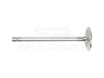 2.10011 Intake valve, D1: 11 mm, D2: 54 mm, L: 167.2 mm, α: 30 °