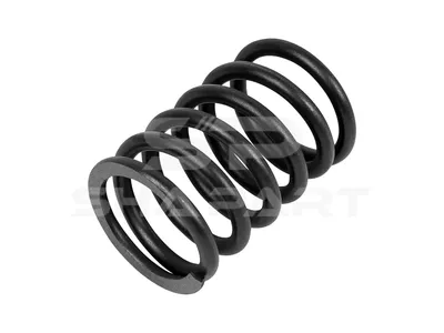 2.10013 Valve spring, outer, D: 44 mm, L: 63 mm