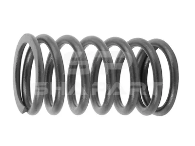 2.10026 Valve spring