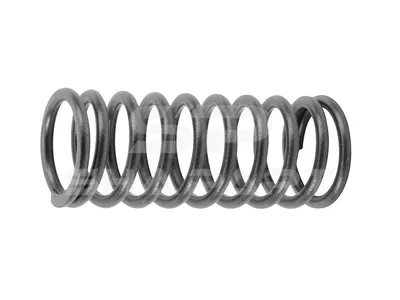 2.10027 Valve spring