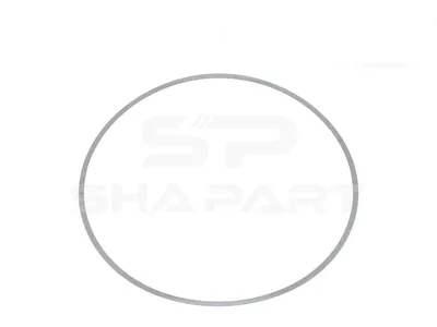 2.10131 Shim, d: 141 mm, D: 146.5 mm, S: 0.2 mm
