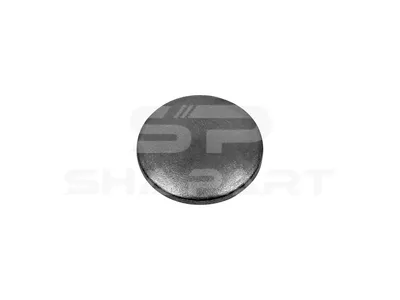 2.10198 Expansion plug