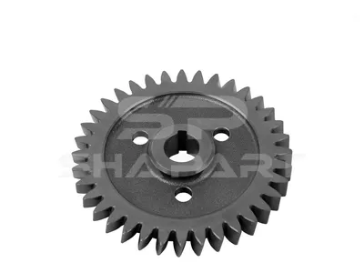 2.10234 Gear