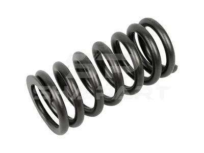 2.10276 Valve spring, outer, D: 35 mm, L: 75 mm