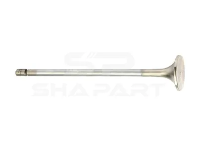 2.10278 Exhaust valve, D1: 8 mm, D2: 38 mm, L: 191.7 mm, α: 30 °
