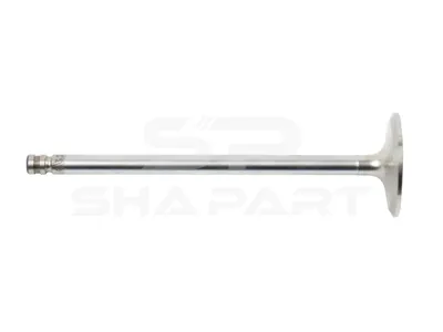 2.10279 Intake valve, D1: 8 mm, D2: 38 mm, L: 192 mm, α: 30 °