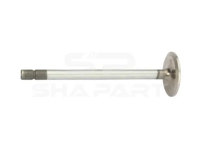 2.10283 Intake valve, D1: 11 mm, D2: 50 mm, L: 167 mm, α: 30 °