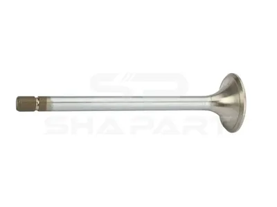 2.10284 Exhaust valve, D1: 11 mm, D2: 46 mm, L: 167 mm, α: 45 °