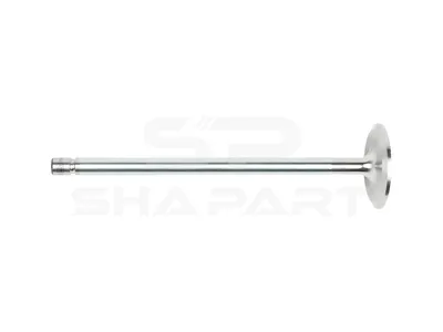 2.10285 Intake valve, D1: 9.5 mm, D2: 47 mm, L: 176.9 mm, α: 30 °