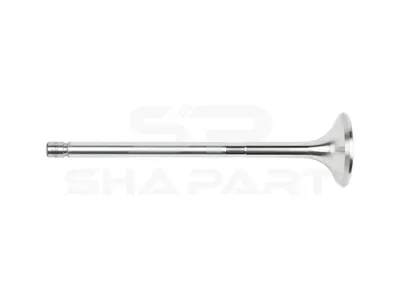 2.10286 Exhaust valve, D1: 9.5 mm, D2: 45 mm, L: 176.8 mm, α: 45 °