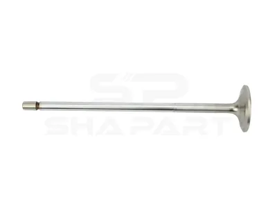 2.10287 Intake valve, D1: 8 mm, D2: 40 mm, L: 192 mm, α: 30 °