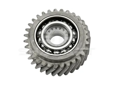 2.10376 Gear, complete with bearing
