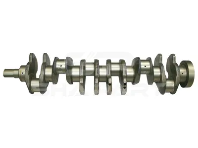 2.10390 Crankshaft, 14 bores
