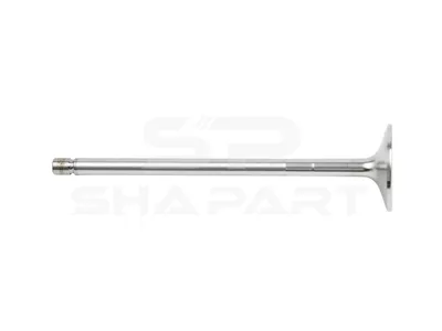 2.10577 Intake valve, D1: 10 mm, D2: 49 mm, L: 192.9 mm, α: 25 °