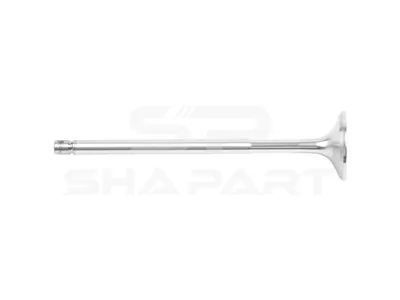 2.10578 Exhaust valve, D1: 10 mm, D2: 46 mm, L: 191.3 mm, α: 45 °
