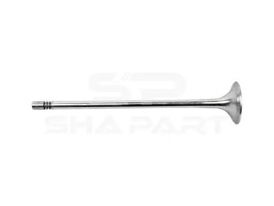 2.10581 Exhaust valve, D1: 8 mm, D2: 40 mm, L: 191.6 mm, α: 40 °