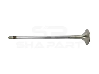 2.10582 Exhaust valve, D1: 8 mm, D2: 38 mm, L: 191.7 mm, α: 30 °