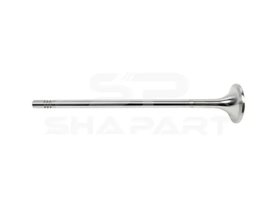2.10585 Exhaust valve, D1: 8 mm, D2: 38 mm, L: 192.7 mm, α: 30 °