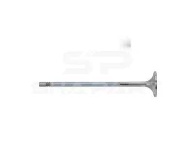 2.10610 Intake valve