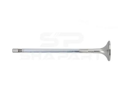 2.10611 Exhaust valve