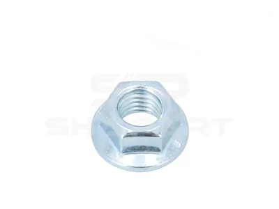 2.12254 Flange nut, M10 x 1,5, 8, DIN 6923