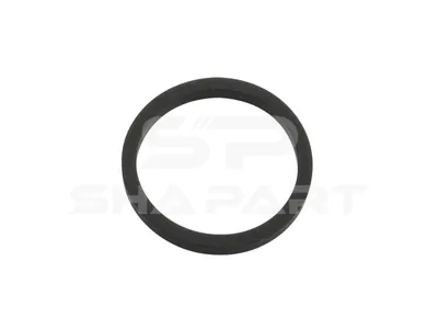 2.15059 Seal ring, d: 24 mm, D: 29 mm, H: 2.5 mm