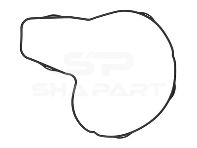 2.15911 Gasket, water pump