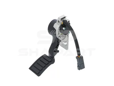 2.16140 Accelerator pedal, with sensor, 6 poles