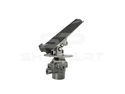 2.16230 Accelerator pedal, complete
