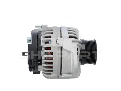 2.21039 Alternator, 24 V, DP: 73 mm, I: 110 A