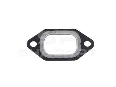 2.24201 Gasket, exhaust manifold