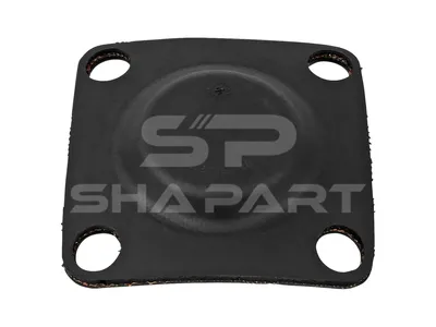 2.32244 Diaphragm, differential