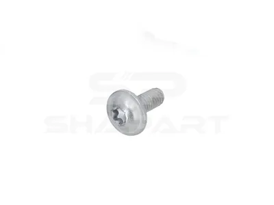 2.32309 Screw