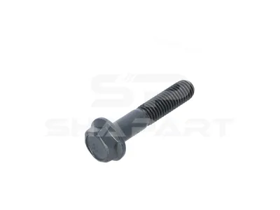 2.32327 Screw