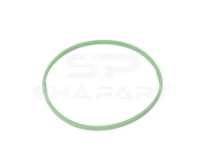2.33191 Seal ring, filter protection
