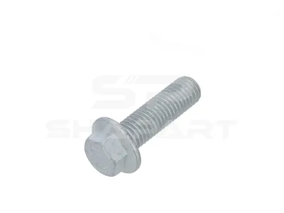2.34116 Screw, M14, SW: 17, L: 47 mm, 10.9
