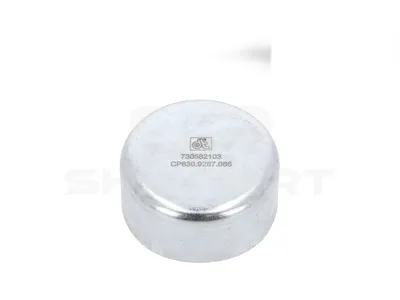 2.40066 Locking cap, brake caliper