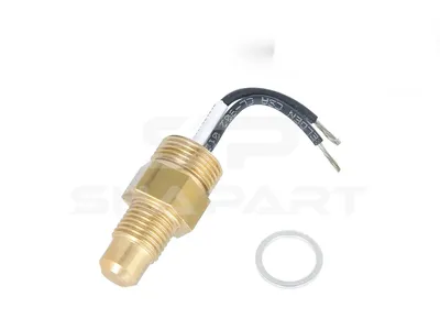 2.44391 Temperature switch