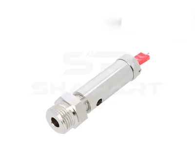 2.44395 Safety valve