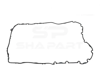 2.44855 Gasket, side cover