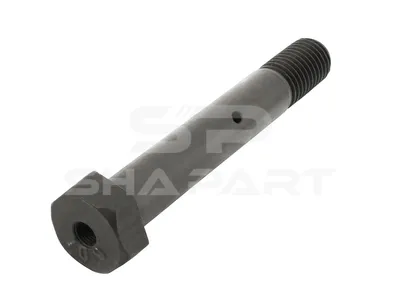 2.61089 Screw, M20 x 2,5, LTh: 33 mm, Lu: 125 mm